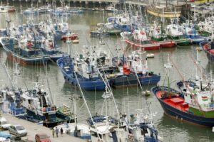 «BTF es un paso más a la internacionalización del buen nombre de Bermeo y de su sector»