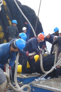 OPAGAC «Nuestro sistema de pesca es referente para que todos los atuneros cerqueros minimicen su impacto medioambiental»